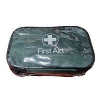 Green Pouch British Standard Travel First Aid Kit