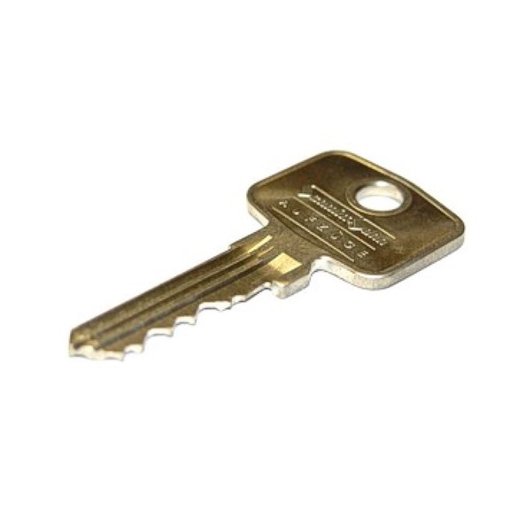 STANNAH COP PANNEL KEY ( set of two )