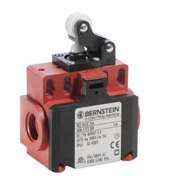 Bernstein Limit Switch